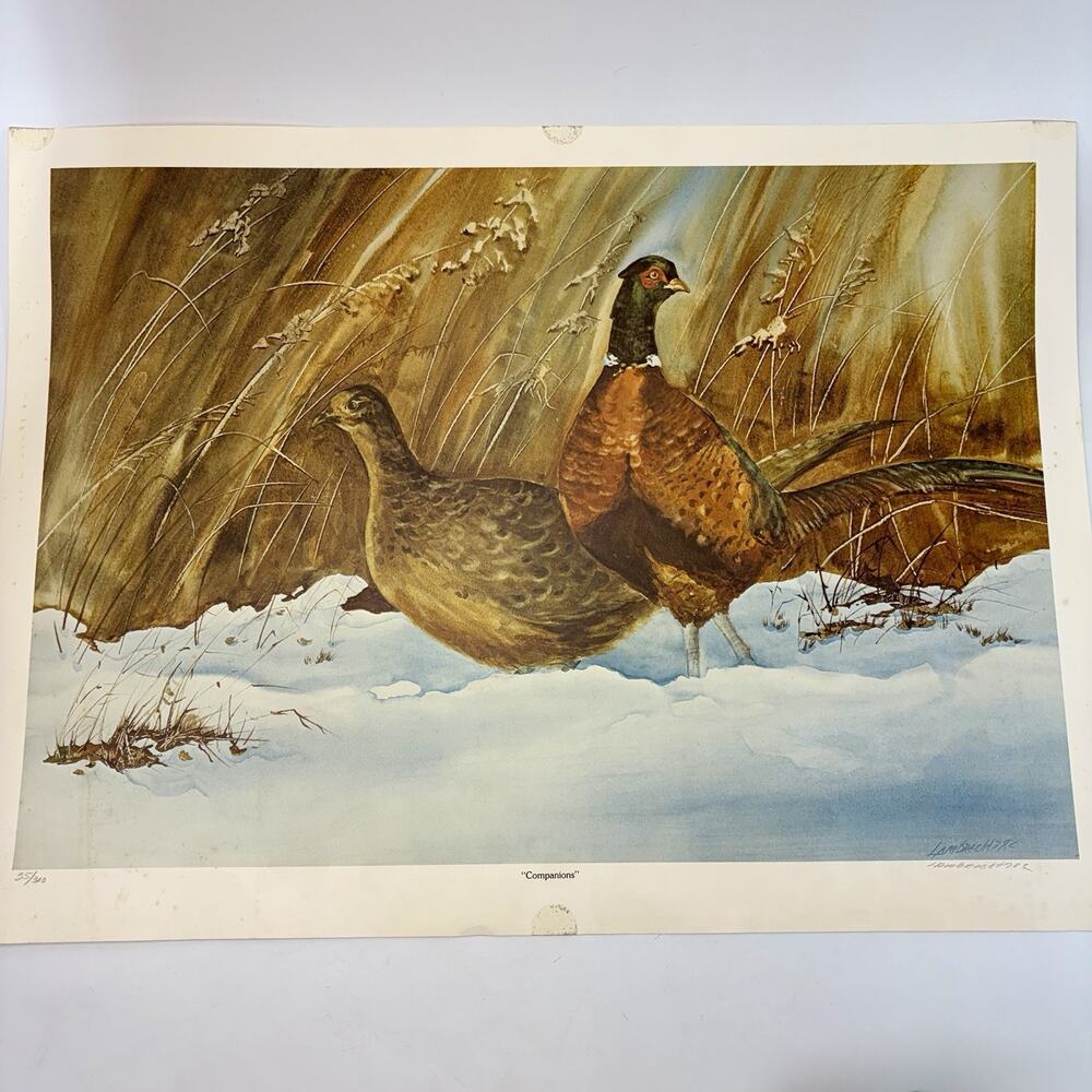 VTG Ring Neck Pheasant Companions Lithograph Print 35/300 Signed Hambrecht